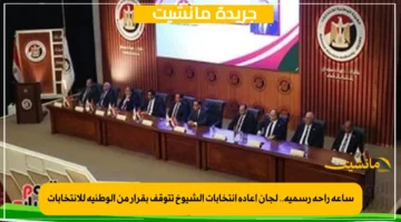 ساعة راحة رسمية.. لجان إعادة انتخابات الشيوخ تتوقف بقرار من الوطنية للانتخابات 1